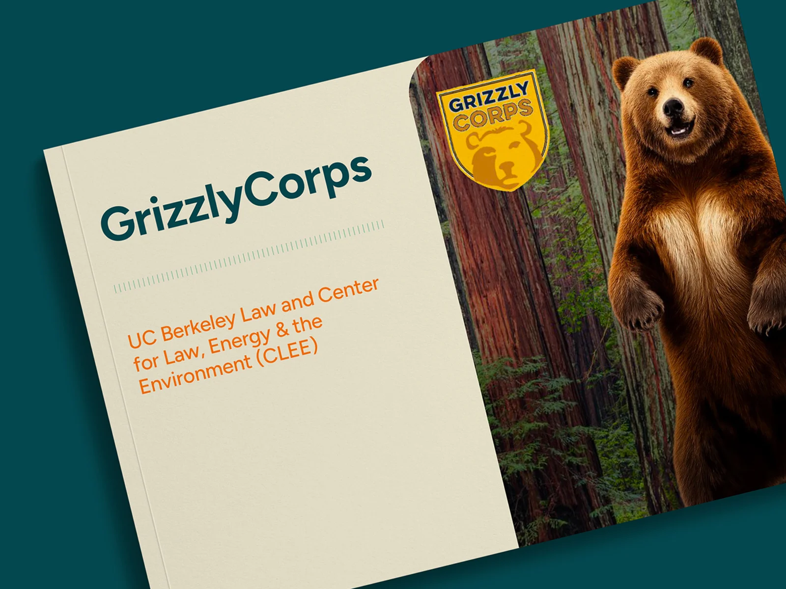 Cover of GrizzlyCorps report case study image