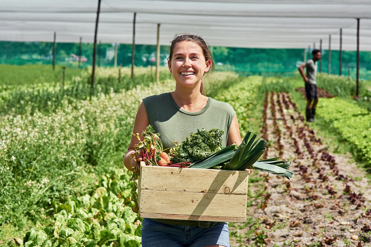 Young woman holding a box of vegetables while standing in a green field of crops